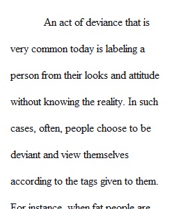 Theories of  Deviance  Summary Paper